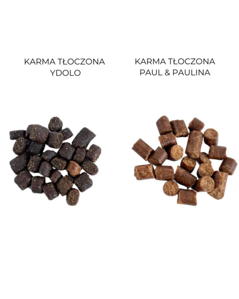 Karma Tłoczona z Bio Wołowiną Paul&Paulina 50g|1,5kg|5kg|10kg Karma Tłoczona z Bio Wołowiną Paul&Paulina 50g|1,5kg|5kg|10kg