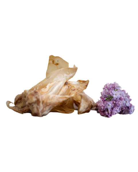 Uszy Jagnięce 100g Uszy Jagnięce 100g