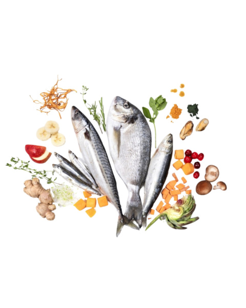 YDOLO Ryby Morskie 100g|2,5kg|10kg YDOLO Ryby Morskie 100g|2,5kg|10kg