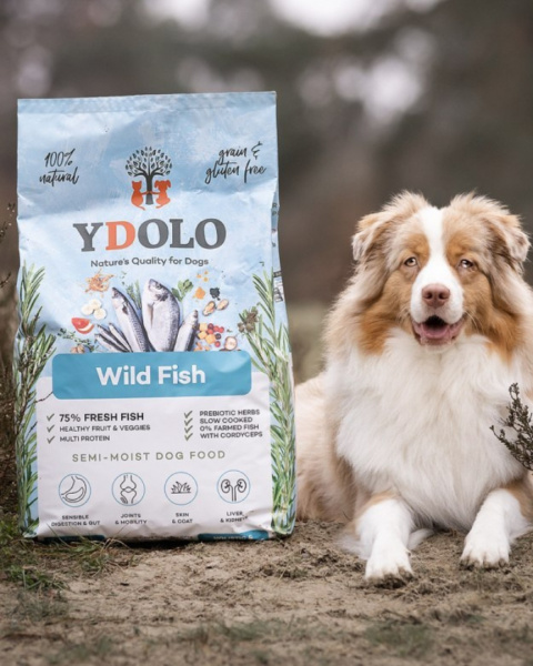 YDOLO Ryby Morskie 100g|2,5kg|10kg YDOLO Ryby Morskie 100g|2,5kg|10kg