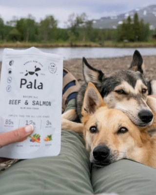 Karma Pala Wołowina z Łososiem 100g|400g|1kg